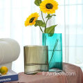 Vase en verre décoratif hydroponique de motif vertical